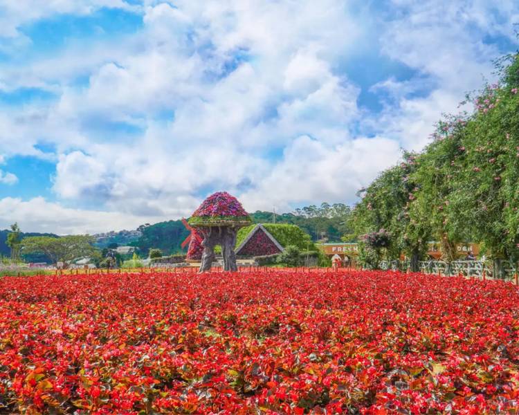 fresh-garden-da-lat
