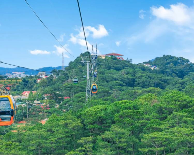 doi-robin-da-lat