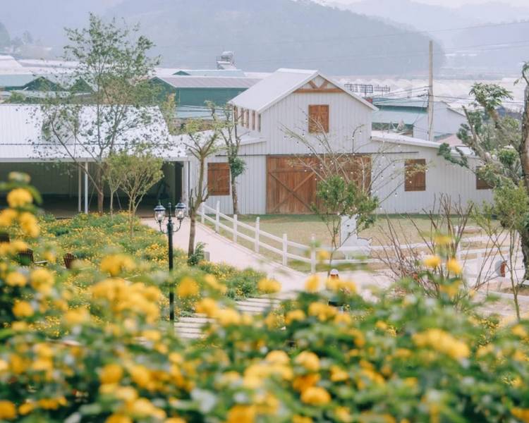 nong-trai-puppy-farm-da-lat