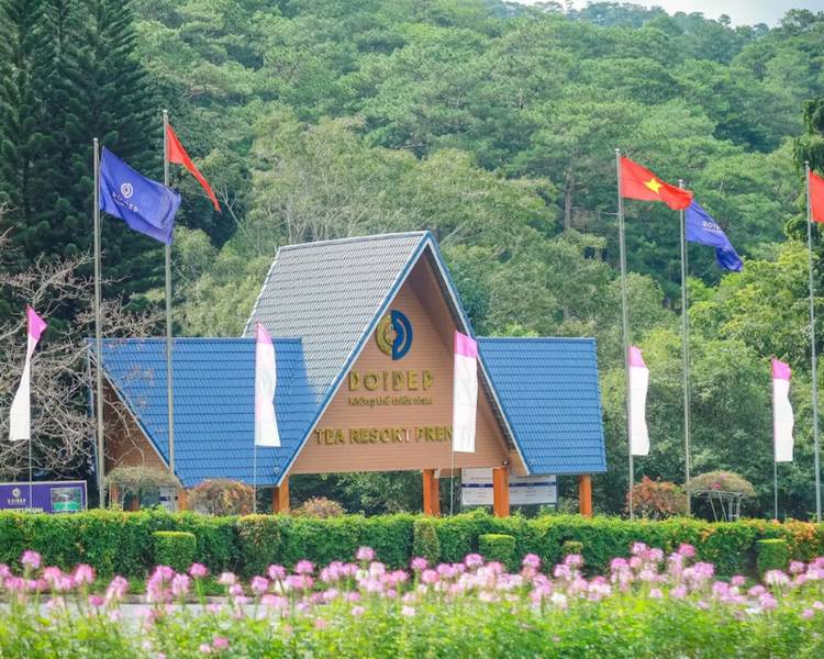 tea-resort-prenn-da-lat