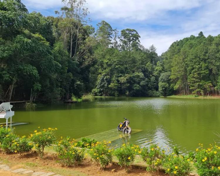 lac-tien-gioi-da-lat
