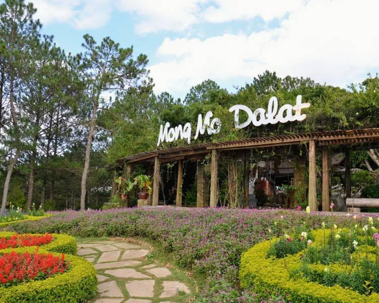 doi-mong-mo-da-lat